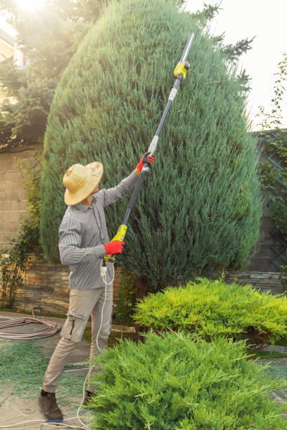 Lawn Grading and Leveling in West Milton, OH